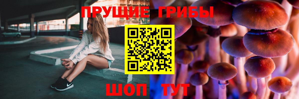 Галлюциногенные грибы мухоморы Шатура